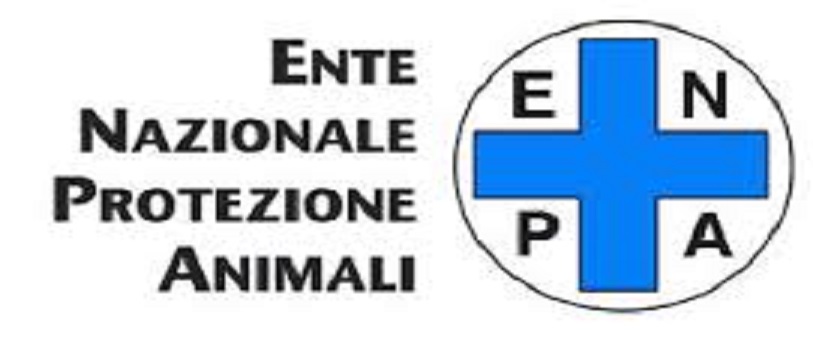 “Sposi a quattro zampe”