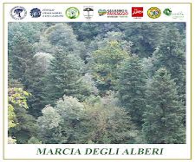 Marcia degli Alberi 2014 – La Foresta che cammina