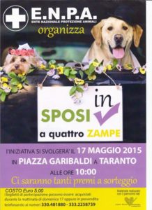 11169897_895382437167258_5518321403397349594_n