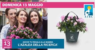 Domenica 13 maggio torna l’Azalea della Ricerca