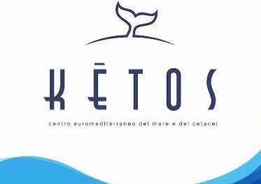 A Ketos un capodoglio in un mare di rifiuti e due tartarughe “luminose”
