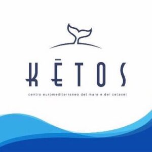 A Ketos un capodoglio in un mare di rifiuti e due tartarughe “luminose”