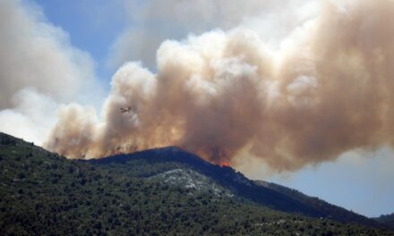 “Italia in fumo”, il nuovo report di Legambiente sugli incendi in Italia