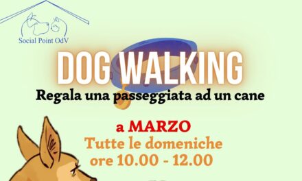 Dog walking al canile comunale di Martina Franca con Social Point