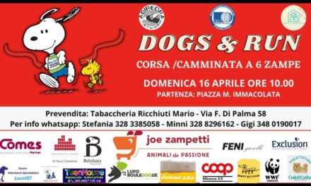 “DOGS & RUN”, una passeggiata/corsa di beneficenza a “6 zampe”