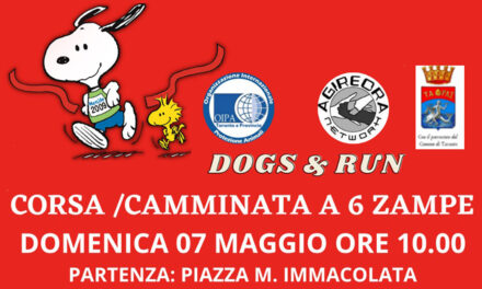 Una domenica a 6 zampe in centro con “Dogs & Run”