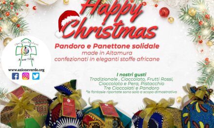 Happy Christmas con i Panettoni e Pandori solidali di Opera Don Bonifacio