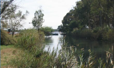 Progetto Parco letterario del Galeso