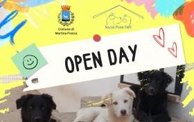 Domenica 14 luglio, Open day al canile di Martina Franca