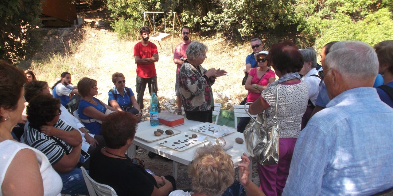 Università Popolare ZEUS