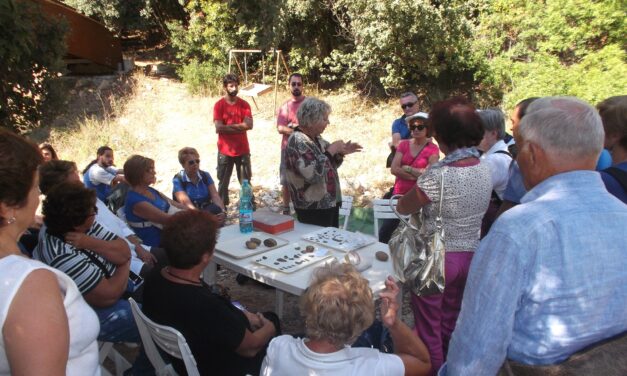 Università Popolare ZEUS