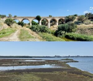 Festival “Appia Day”, escursione dal Mar Piccolo a Monteiasi