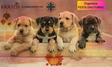 Festa d’Autunno al canile di Taranto