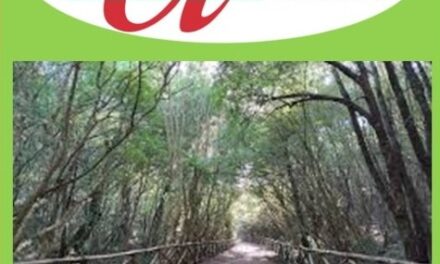 Le prossime iniziative dell’A.N.T.E.A.S. di Taranto