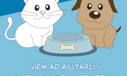 Raccolta alimentare natalizia per i randagi