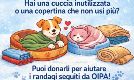 Emergenza freddo, OIPA Taranto cerca coperte per i randagi del territorio