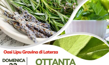 “Ottanta Piante Ottime”, alla scoperta delle piante spontanee eduli e officinali