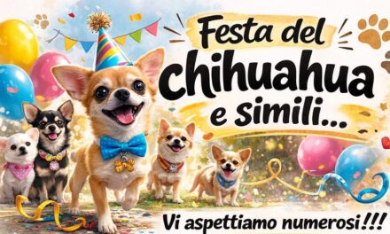 Festa del chihuahua e simili…!!!!
