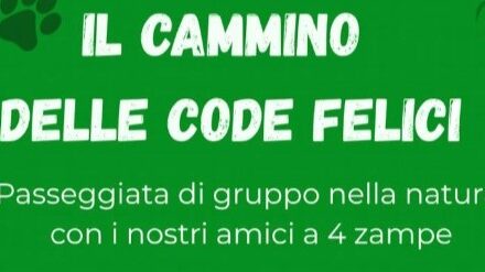 “Il Cammino delle Code Felici”: a Palagianello una passeggiata a 4 zampe immersi nella natura