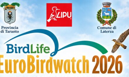 Eurobirdwatch 2026